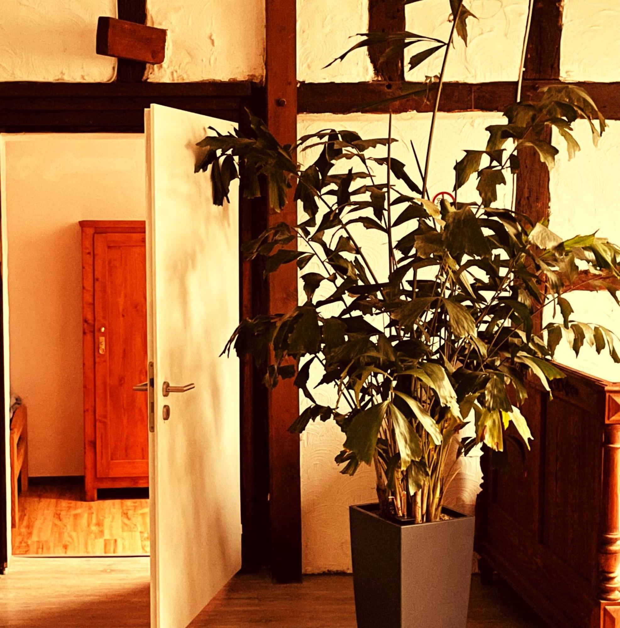 Cottage Huehnerstall Zulpich Exterior photo